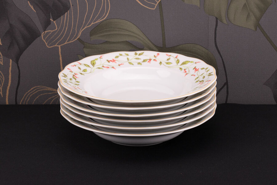 6 assiettes creuses porcelaine Wawel