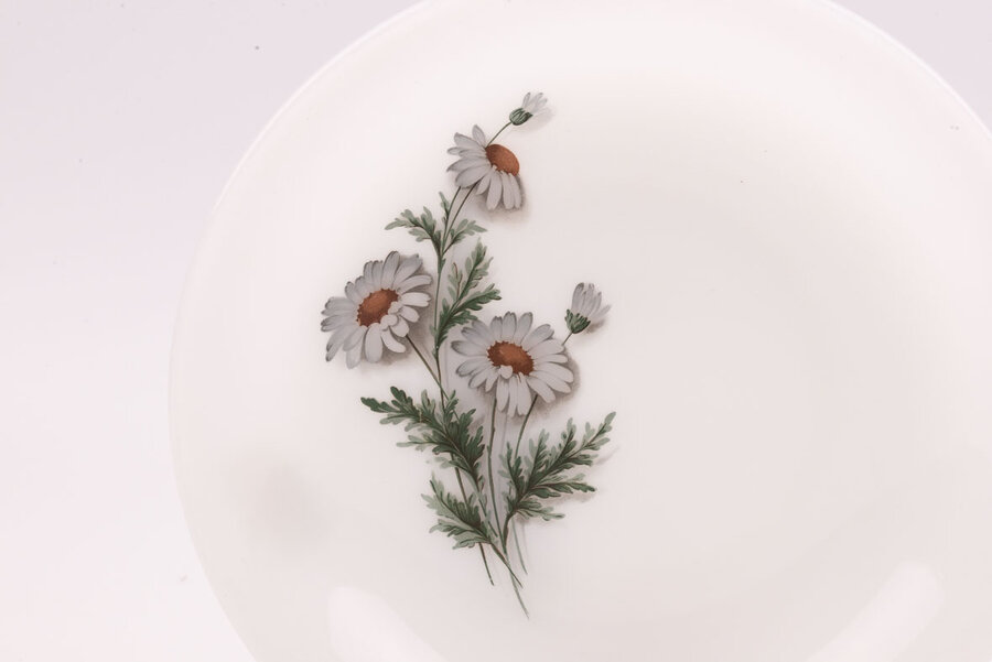 assiettes creuses Arcopal Marguerite en verre opaline